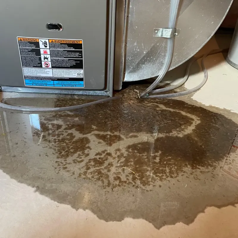 Appliance Leak Cleanup in Stratford, CT